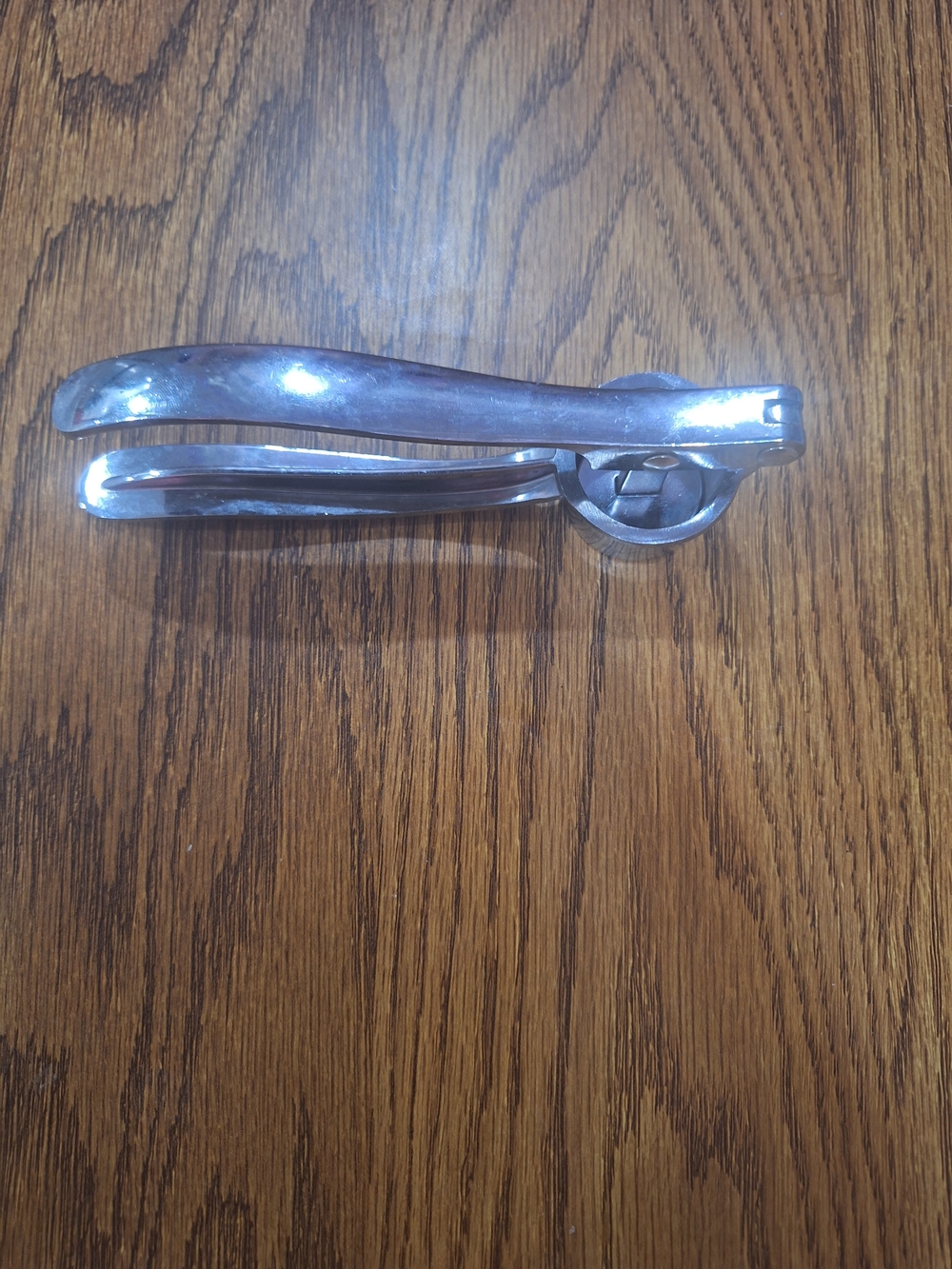 Stainless Steel Garlic Press - Silver